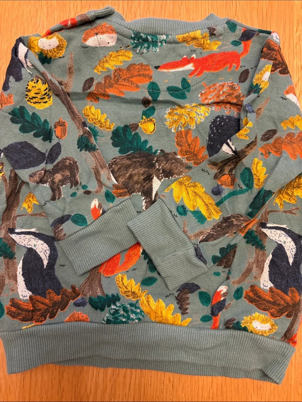 Baby Fall Green Woodland Animals Sweatshirt 6-9 months